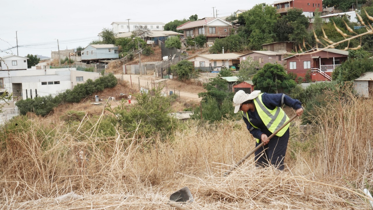 Municipio de Villa Alemana: Más de 26 mil metros de cortafuegos y desmalezados para prevenir incendios al cierre de 2022