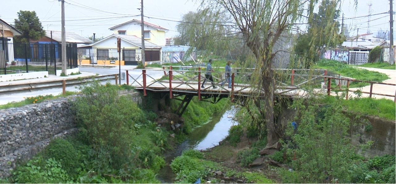 Villa Alemana: Acogen reclamación de municipio contra Ministerio de Medioambiente por errónea delimitación de humedales urbanos