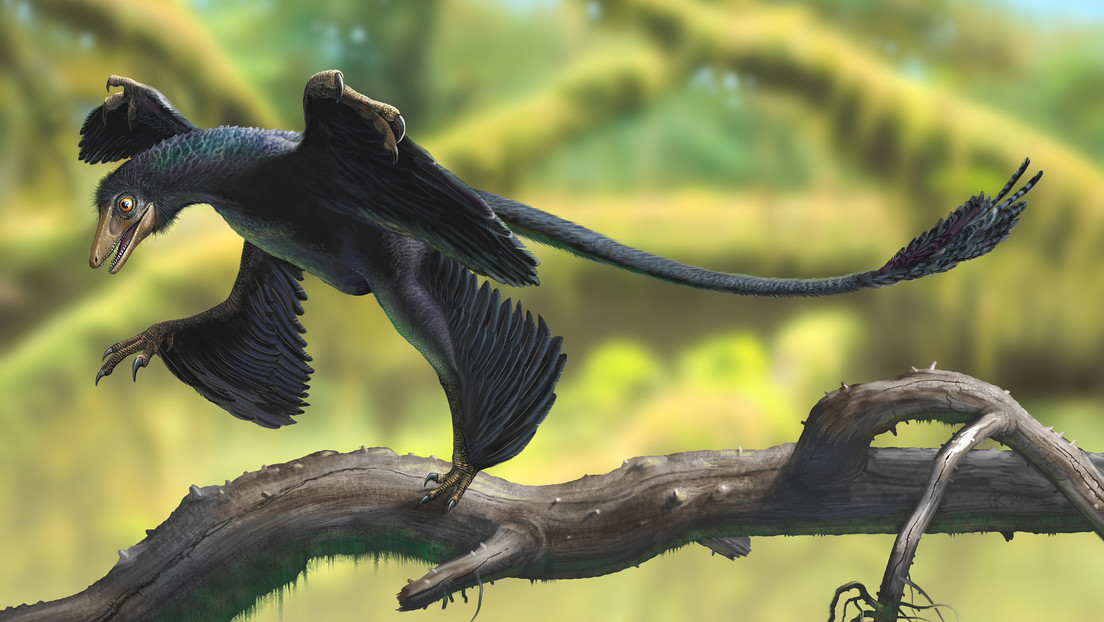 Inédito: Científicos descubren los restos de un mamífero devorado por un dinosaurio