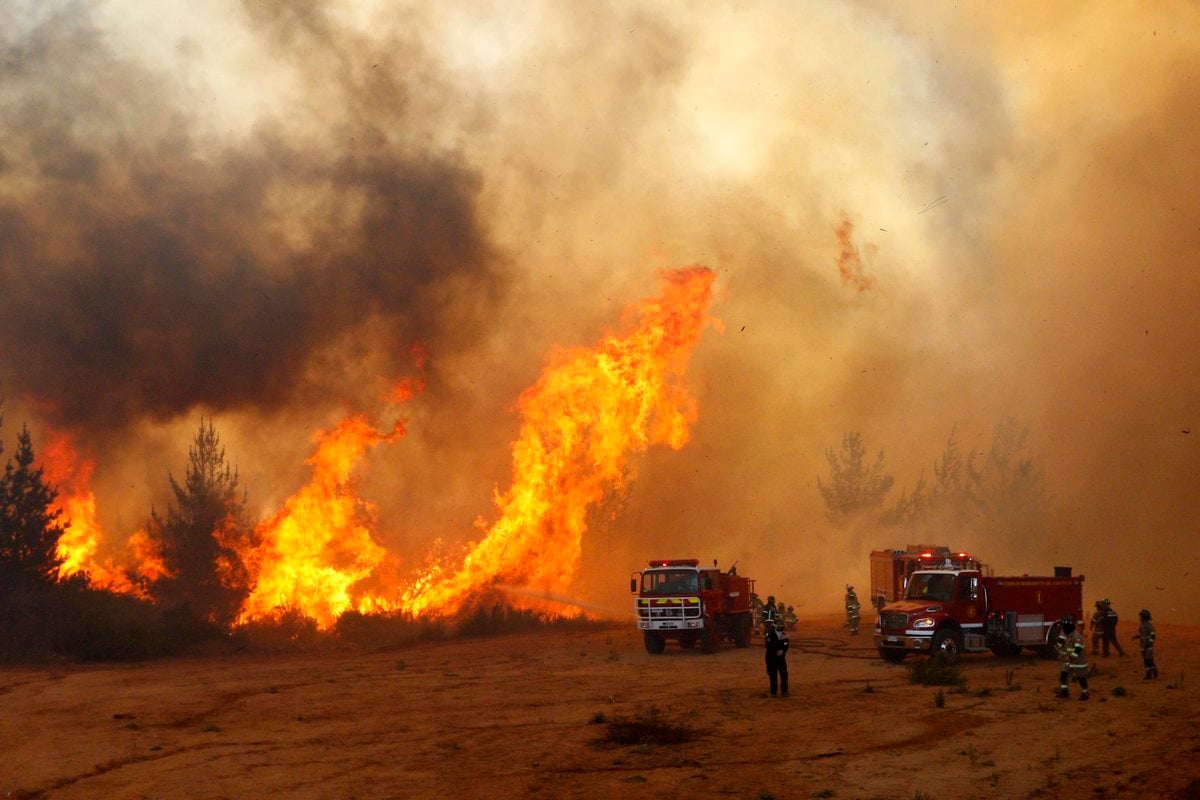 Proyecto prohíbe por 30 años el desarrollo inmobiliario en zonas afectadas por incendios forestales: ¿Dónde y en qué está?