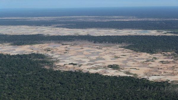 Deforestación en Amazonía brasileña supera 11.500 km2 en un año