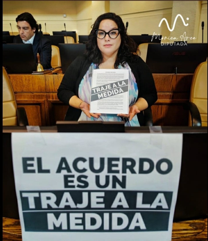 Diputada Mónica Arce carga contra acuerdo constituyente de los partidos políticos: «Tienen terror de perder los privilegios que les sustenta la actual constitución de la dictadura»