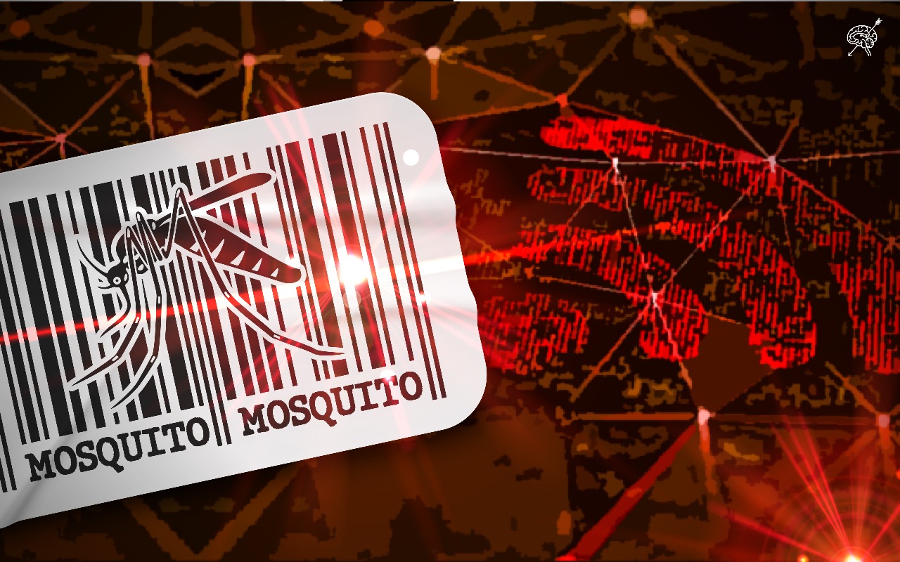 Crean códigos de barras de ADN para rastrear mosquitos