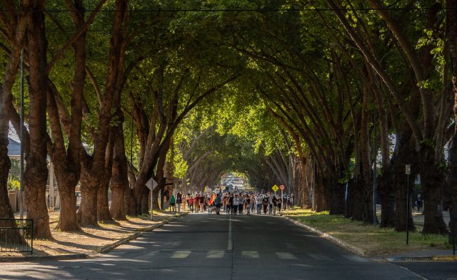 Avenida Urmeneta