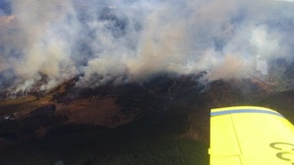 Emiten alerta roja en Lumaco tras incendio forestal  que afecta ya 300 hectáreas