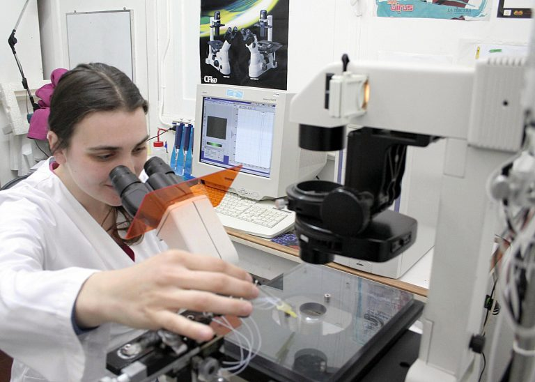 Ministerio de Ciencia establecerá nuevo programa para impulsar los Centros de Investigación del país