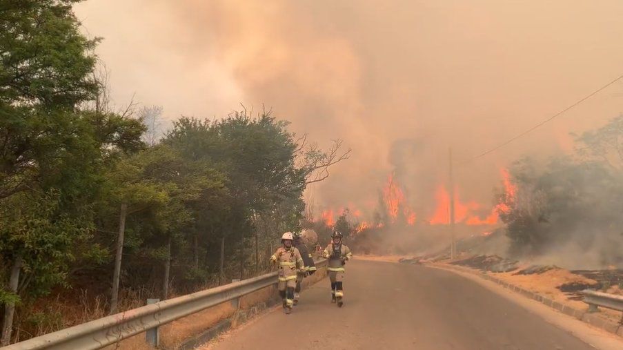 Tras incendio forestal: Ministro de Agricultura anunció rediseño del Jardín Botánico de Viña del Mar