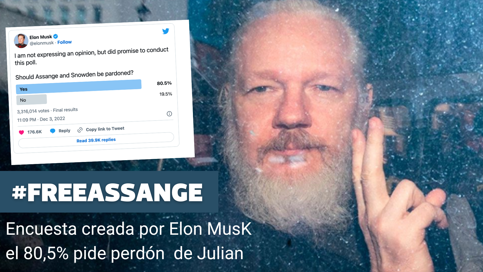 Libertad para Julian Assange: Encuesta creada por Elon Musk en Twitter determina que un 80% quiere su perdón