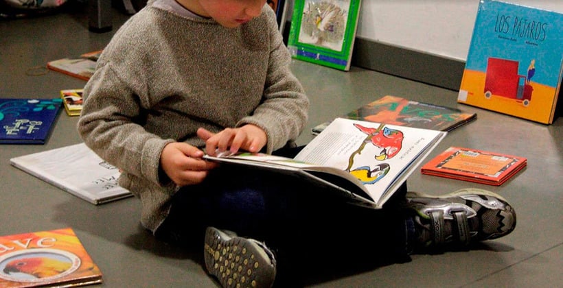 «Por un Chile que lee»: Más de 100 entidades públicas y privadas se unen para enfrentar crisis de lectura en niños y niñas