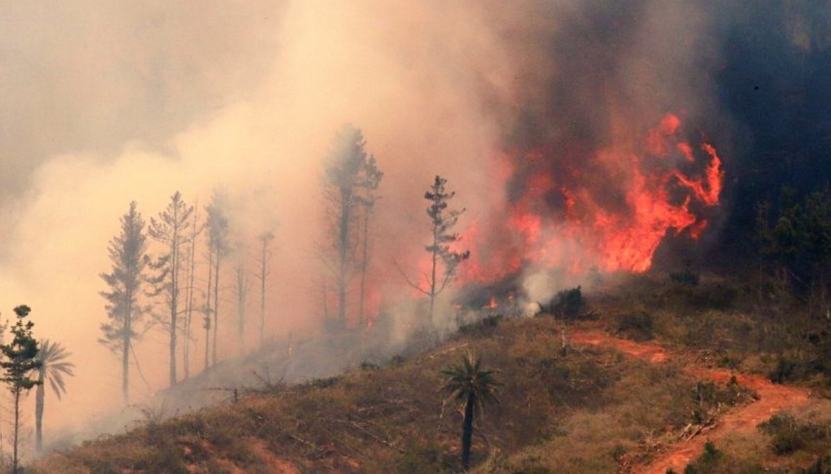 Presidente Boric sobre los incendios forestales: «Nuestra preocupación principal está en la seguridad de las personas afectadas y la extinción de los focos»