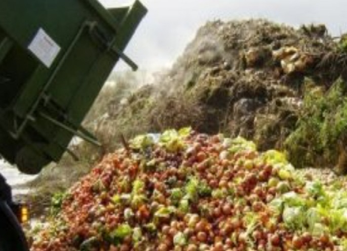 Modelo “Minga” de La Pintana sobre planta de compostaje es ejemplo internacional frente a la crisis climática