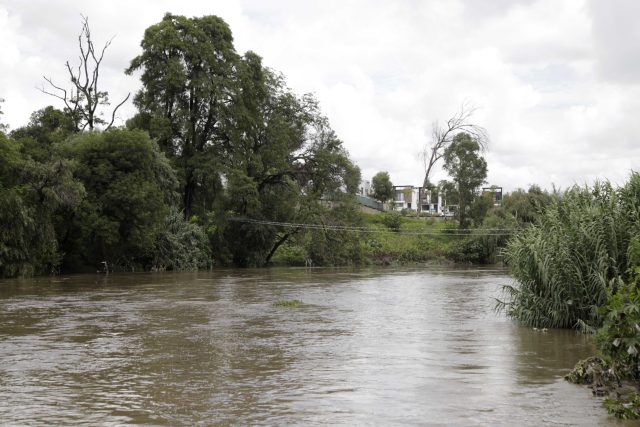 Tala, tráfico de especies y contaminación, delitos  ambientales recurrentes