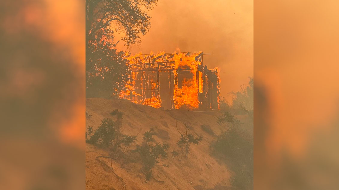 Incendio forestal consumió tres viviendas en Quilpué