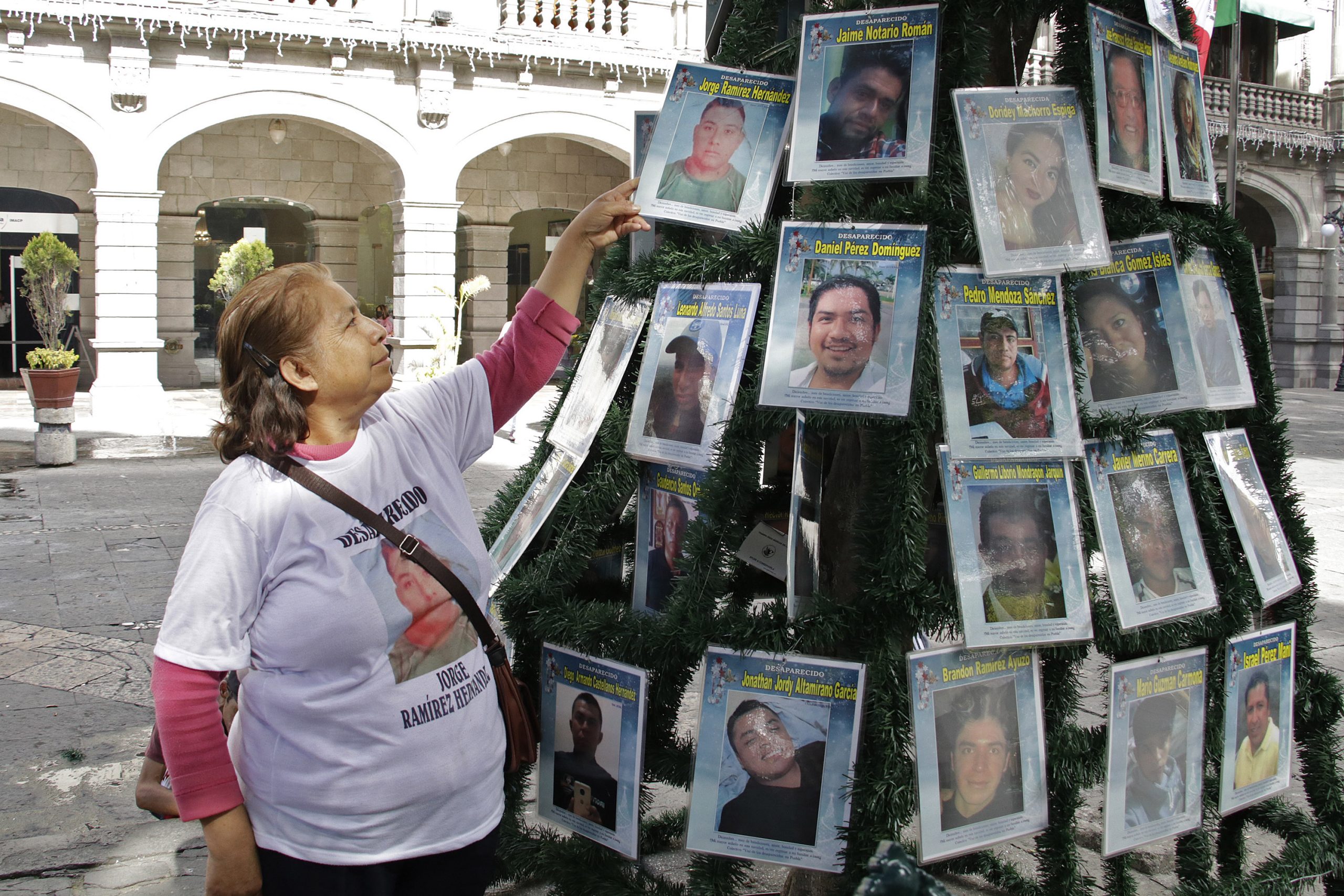 Colocan «árbol de la esperanza» en espera de familiares desaparecidos