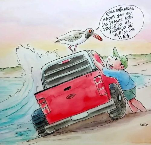 Vehículos en playas ¿Cómo denunciar? + Video del «wea» en Ritoque