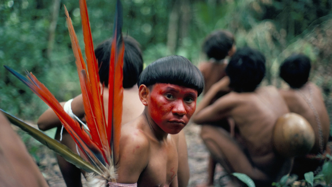 The Yanomami tragedy that mobilizes the Lula government in Brazil