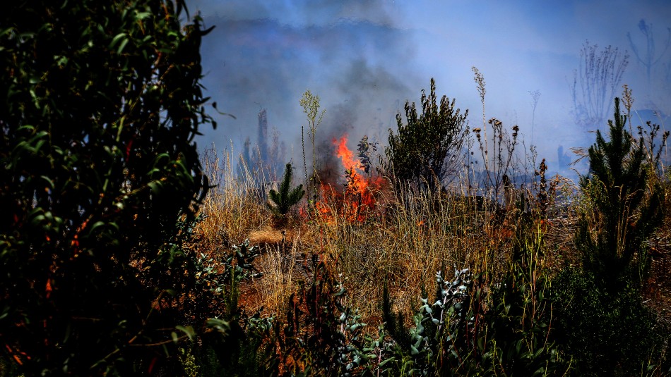 Actualizan alerta temprana preventiva para La Araucanía por amenaza de incendios forestales
