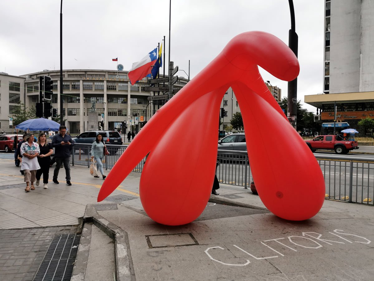 Contra el analfabetismo sexual: Clítoris gigante aterrizó en pleno centro de Concepción