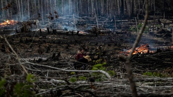 La deforestación en la Amazonía brasileña rompe un nuevo récord en 2022