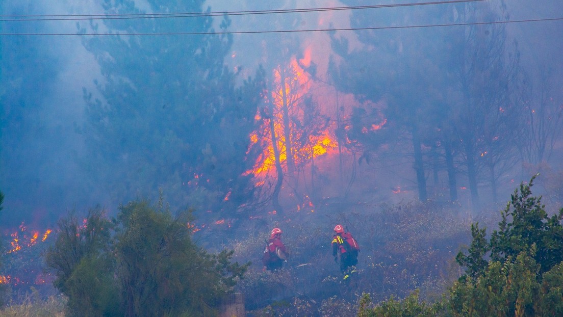 Emergencia al oeste de Argentina: sigue activo un voraz incendio que habría sido intencionado