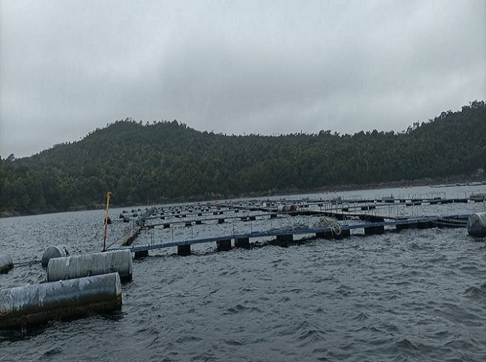 Alerta desde Isla Leucayec por proyecto salmonero de empresa Camanchaca en área indígena y de interés para la biodiversidad