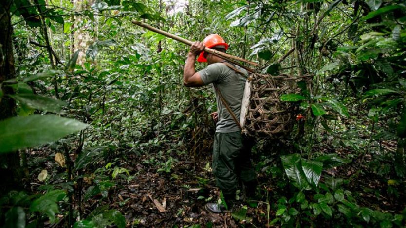 El presidente Arce: A la Amazonía hay que cuidarla y resolver la calidad de vida de los pueblos indígenas que la habitan