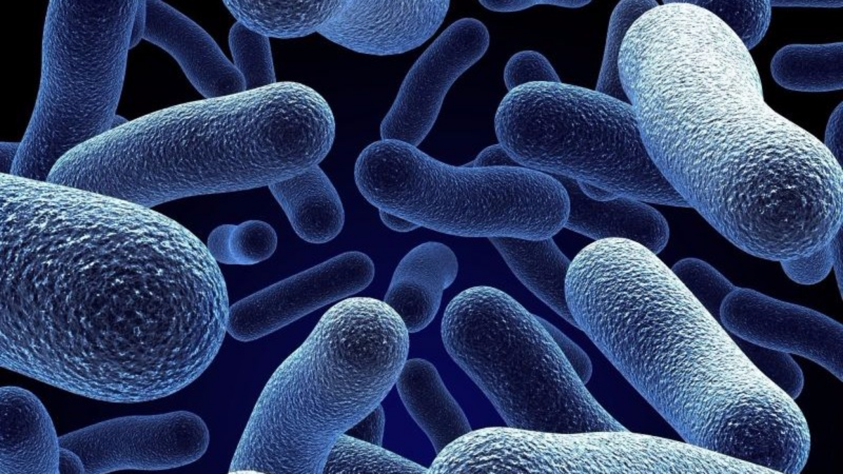 Estas son las bacterias más peligrosas del mundo, según estudio