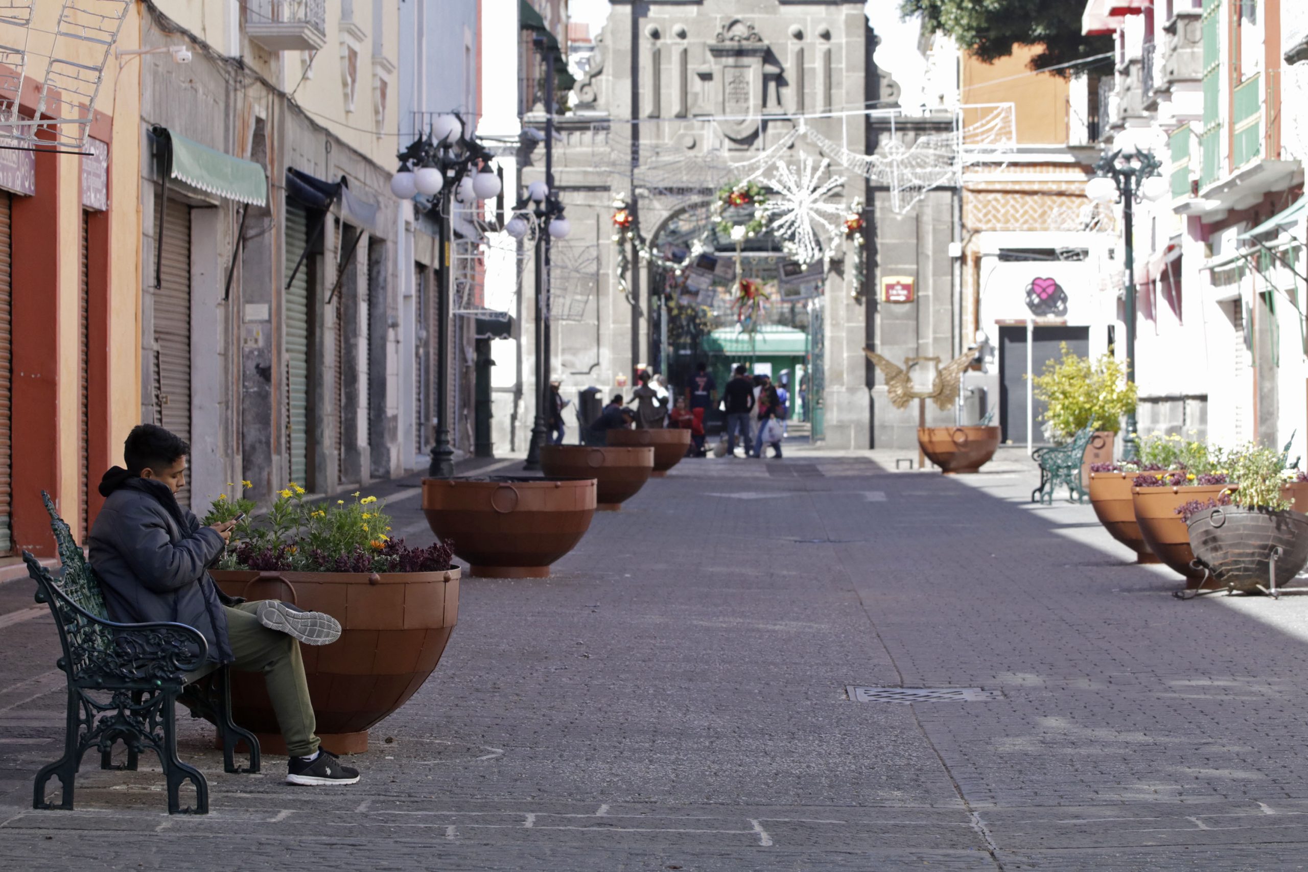 Con inversión de 2 mdp iniciará arborización del Centro Histórico de Puebla