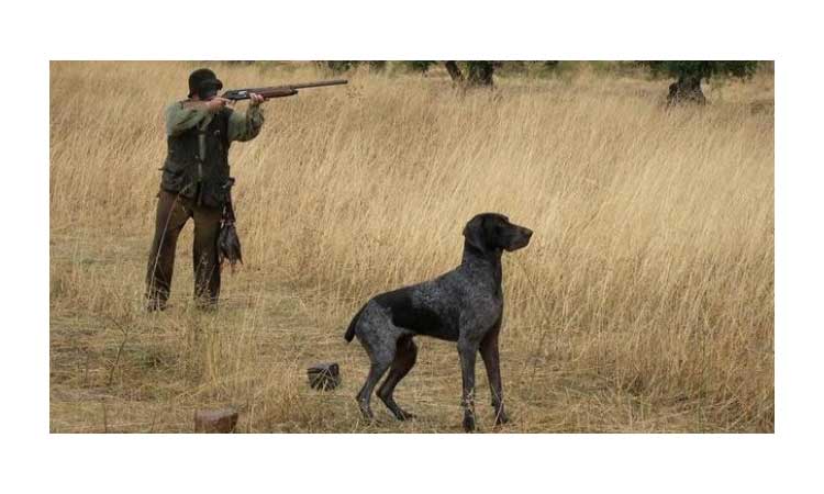 Perro mata a tiros a cazador tras pisar el gatillo de su rifle