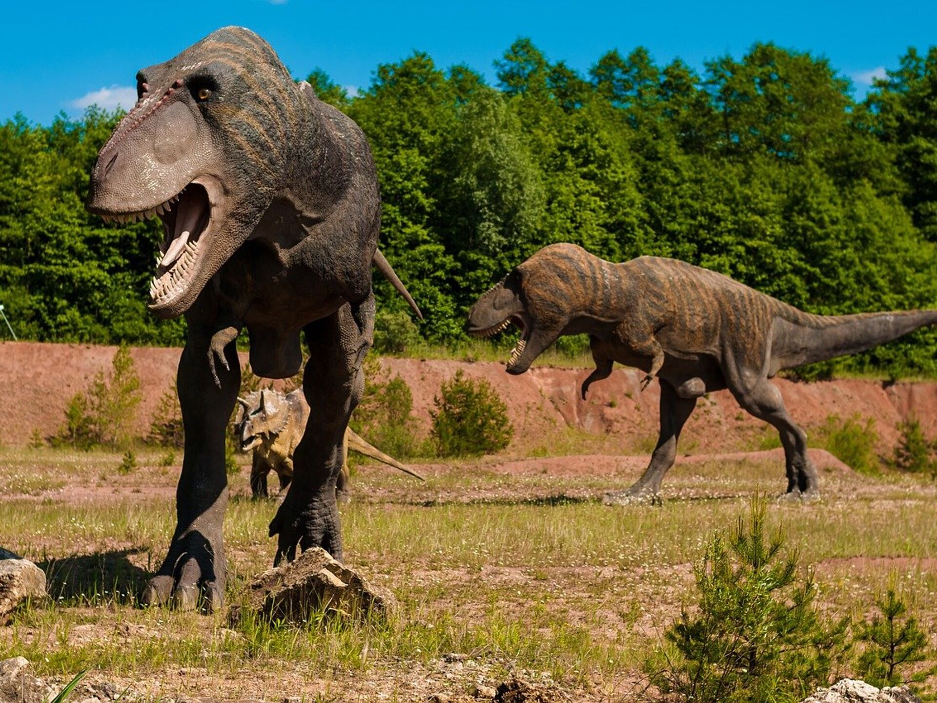 Descubre dónde se encontraba tu casa en la era de los dinosaurios con este mapa interactivo