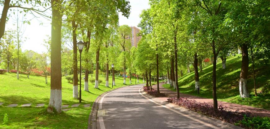 Visitar espacios verdes reduce el uso de medicamentos para la salud mental