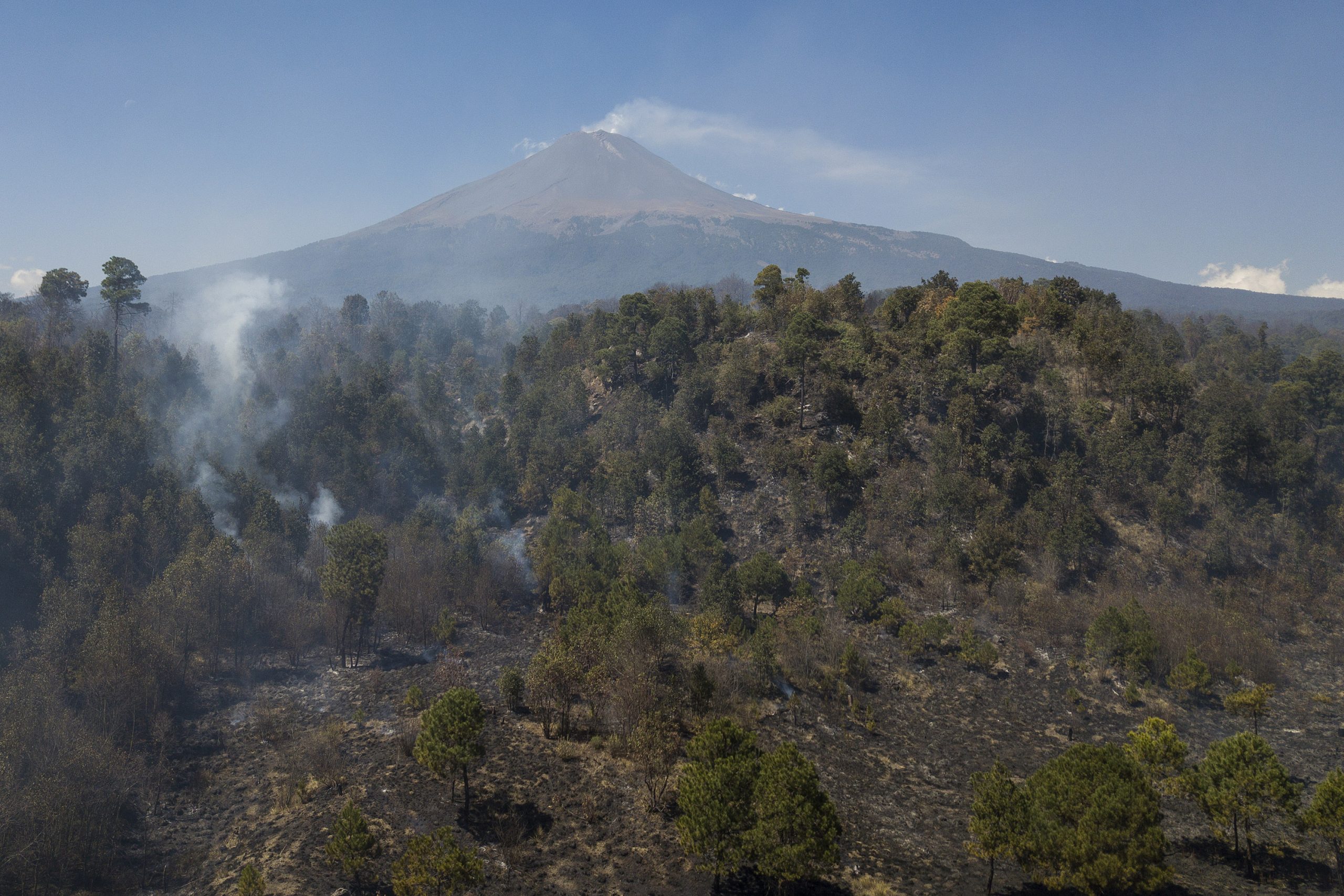 Puebla, entidad del país con menos afectaciones por incendios forestales: Céspedes