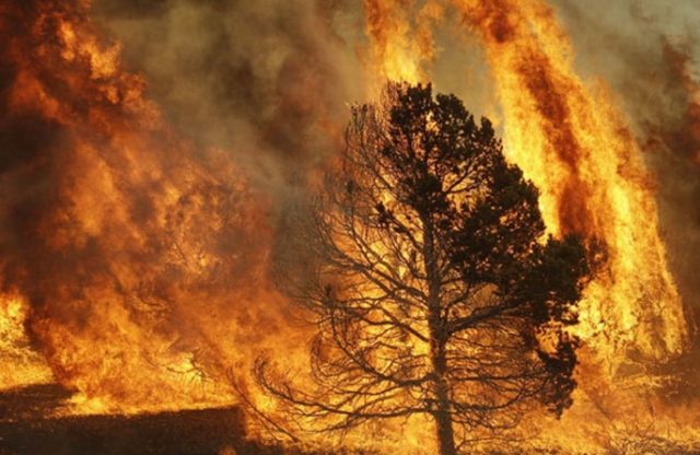 Balance incendios forestales: Más de 1.150 viviendas destruidas y la cifra de fallecidos asciende a 26