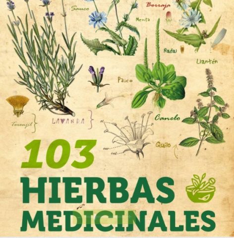 Increíble empeorar plato Libro guía de hierbas medicinales de Chile: 103 hierbas destacadas con sus  propiedades curativas Actualidad