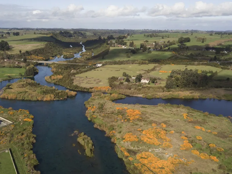 Chile Sustentable llama a aprobar el proyecto de ley que crea el Servicio de Biodiversidad y Áreas Protegidas