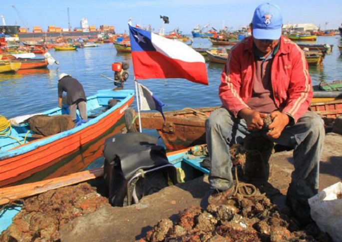 Plantean la entrega de pensiones de gracia para pescadores artesanales, recolectores y boteros