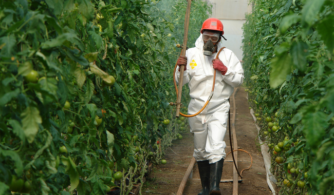 México, EU y Canadá fortalecerán regulación de plaguicidas de uso agrícola