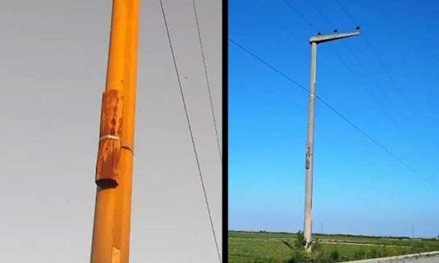 Animales| Extraño trozo de madera unido a un poste esconde conmovedor secreto