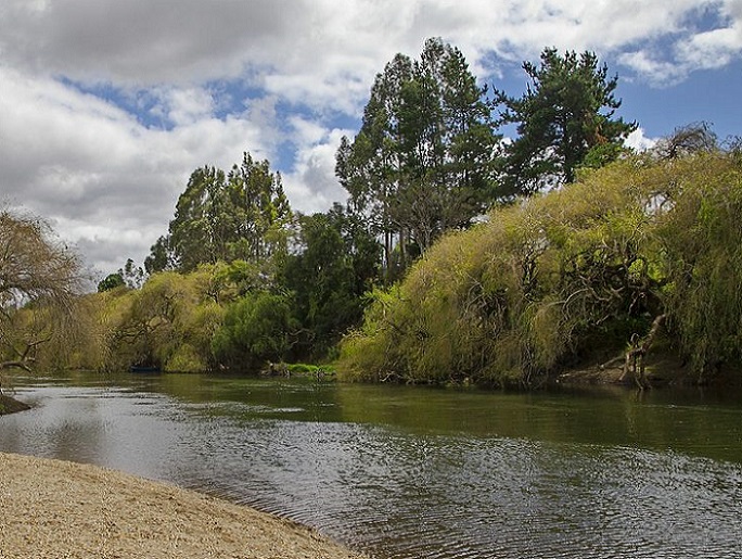 Comunidad mapuche realizó limpieza del río Chol Chol y habilitó playa para un público que respete