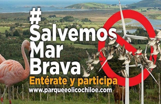 Chiloé: Acogen denuncia de vecinos para revocar permisos ambientales de proyecto parque eólico en Mar Brava