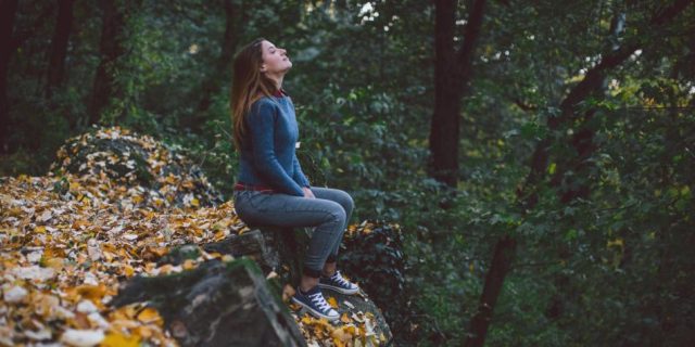 Pequeño pueblo prohíbe música fuerte para oír sonido del bosque, el agua y canto de aves