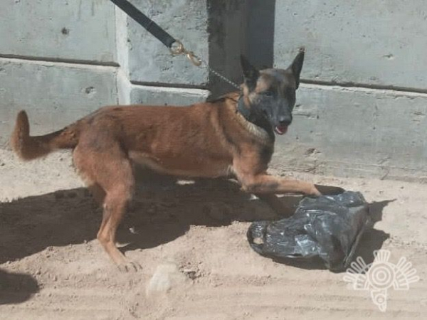 Con operativos aseguran drogas en penales de Puebla