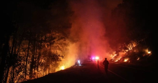 Contienen incendio en Santa Juana y Nacimiento: el más devastador de la emergencia