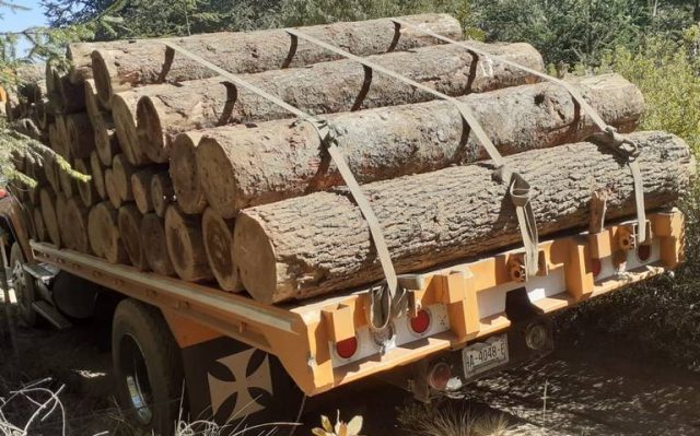 Activistas reciben amenazas de talamontes en Ixtacamaxtitlán, Puebla