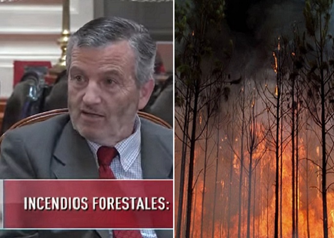 La «Ley Horvath» estancada en el Senado y que propone una distancia de mil metros entre plantaciones forestales y poblados