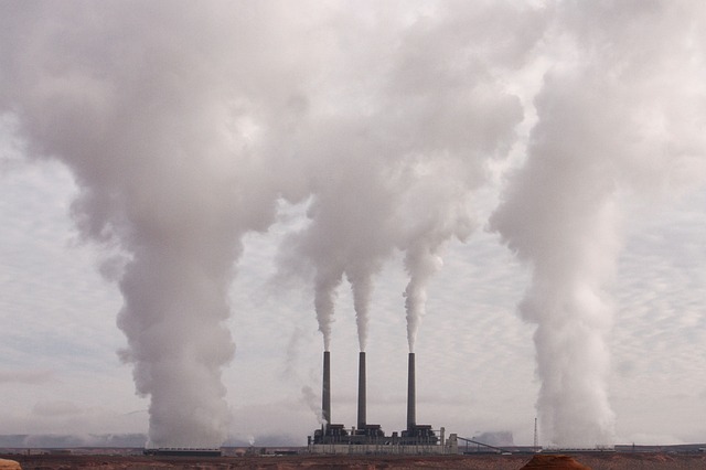 Demuestran que la contaminación del aire está asociada con daños a los tejidos óseos