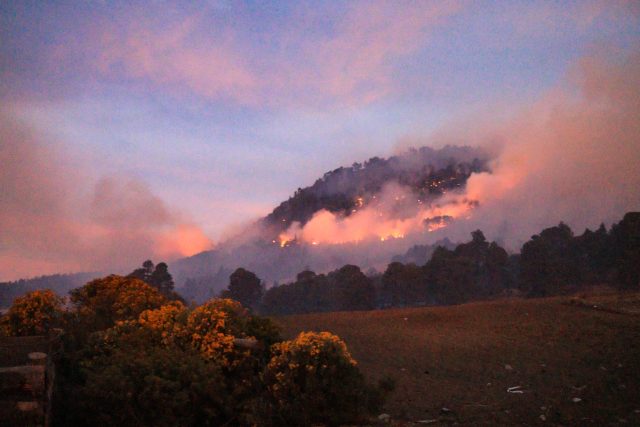 Supervisan combate de incendios forestales en el Pico de Orizaba
