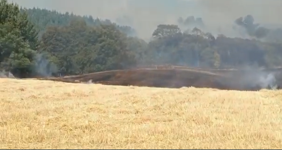 Incendio-Lautaro