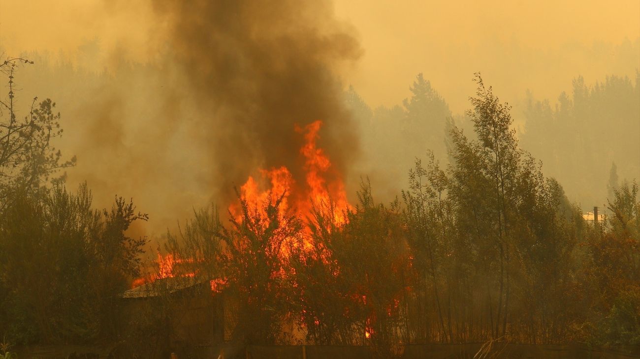 Alcalde dice que cerca del 60% de Nacimiento está “comprometido” por los incendios