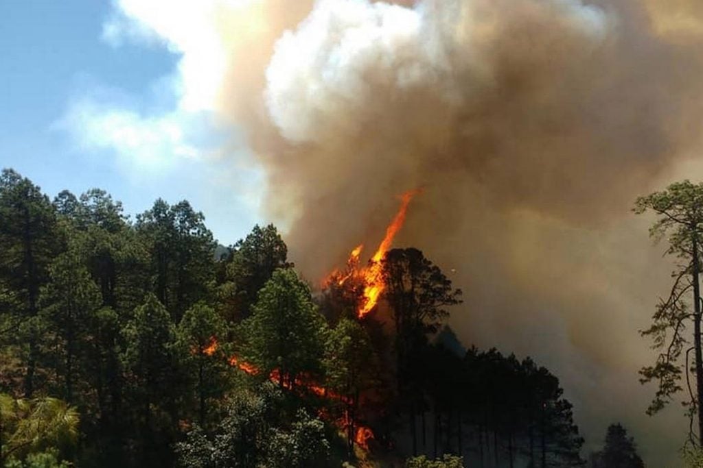 Por incendios forestales, se afectan más de 700 hectáreas en Puebla